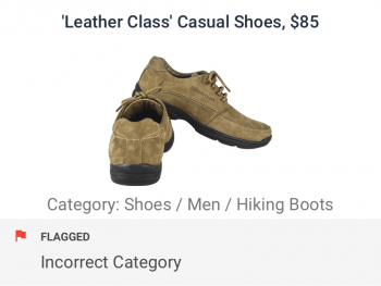 Casual shoes incorrectly categorized as hiking boots hence flagged by category and tag checks for ecommerce